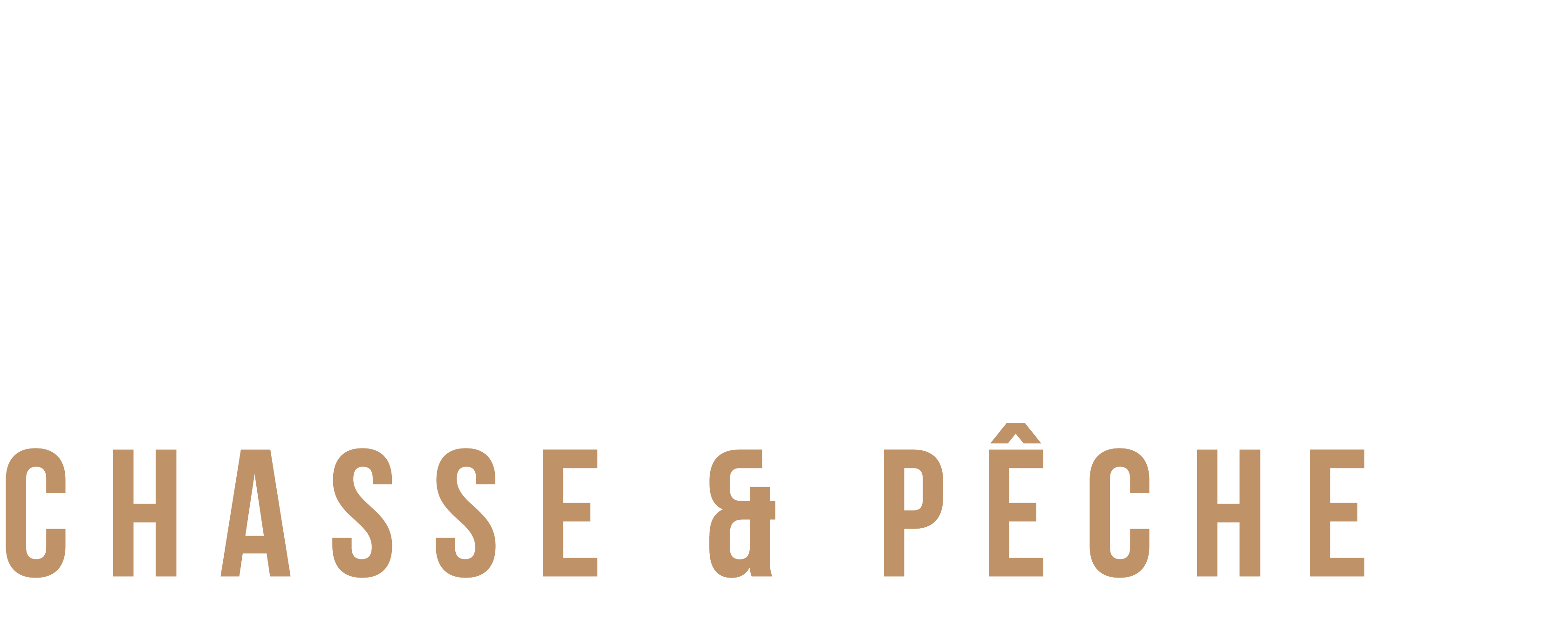 Logo_Dépôt_chasse_pêche_blanc_beige